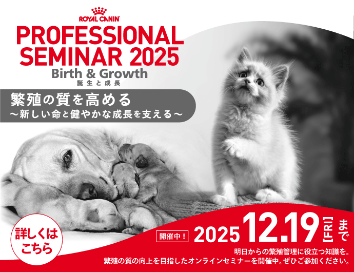 繁殖の質を高める”プロフェッショナルセミナー2025開催中