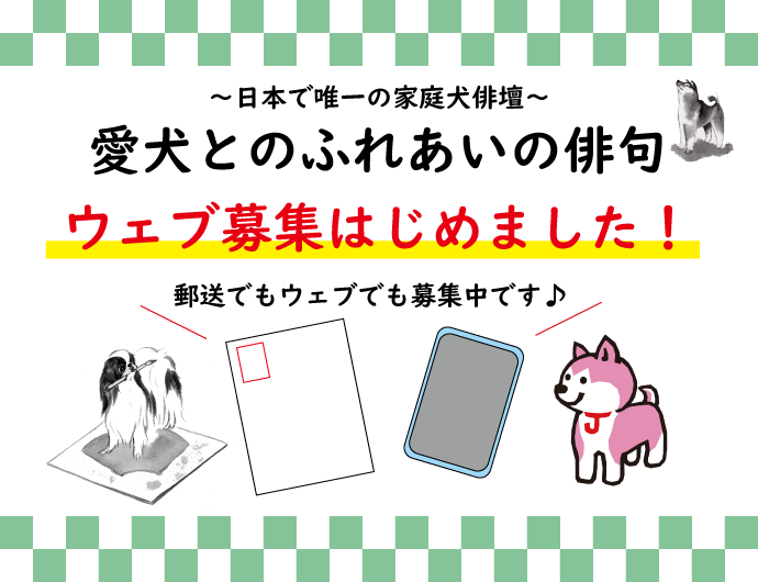 愛犬とのふれあいの俳句　ウェブ募集開始します