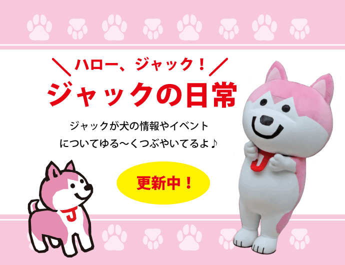 ちょっとためになる情報　ジャックブログ（webp）