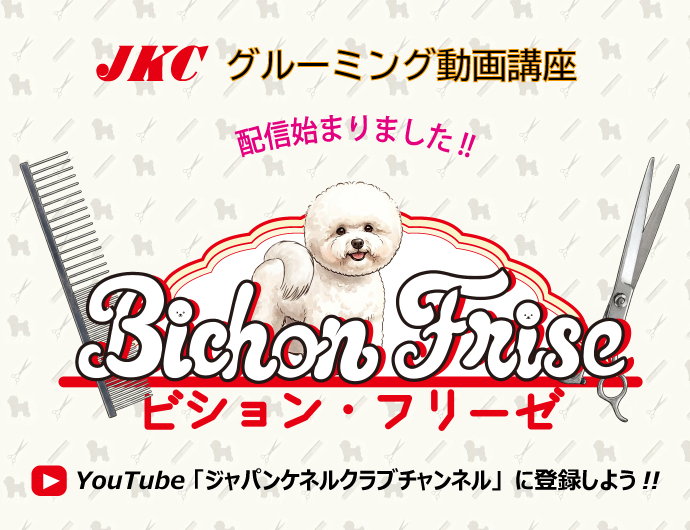 YouTube動画【グルーミング動画講座】～ビション・フリーゼ～