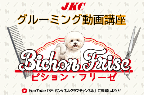 グルーミング動画講座ビション・フリーゼ