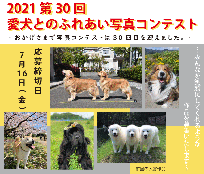 21第30回愛犬とのふれあい写真コンテスト 一般社団法人 ジャパンケネルクラブ