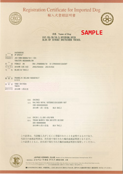 輸入犬登録証明書デザイン