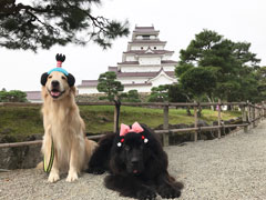 「我が家の殿と姫」栗原　さやか