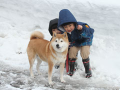 「どっちがかわいい？」平田　平三