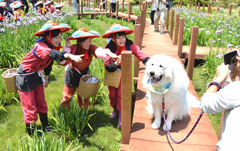 「愛犬と一緒」関矢　俊夫