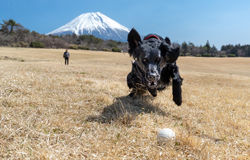 「狙う！！」	杉山　文子さん