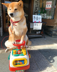 「交通安全」	スズキ　ナツミさん