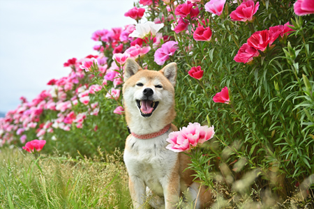 「お花と私」重田　征紀さん