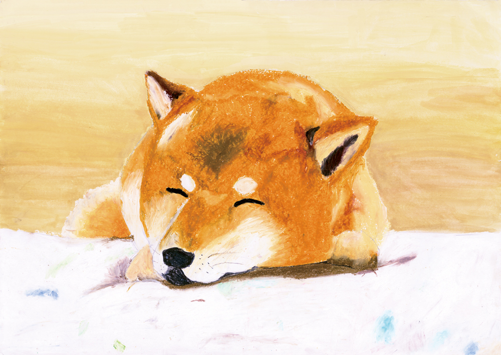 30 子供の絵 手描きイラスト 原画 犬 花