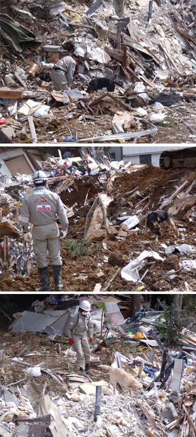 大震災 遺体 東日本